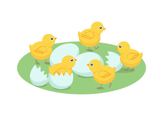 Obraz na płótnie Canvas Set of chickens and eggs. Easter design.Cartoon chick. Vector illustration, isolated objects.