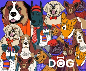 cute kind fluffy dogs big and small are our friends