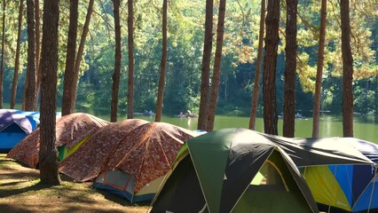 Day-tripping, picnicking, short-term recreational activities in campsite. Tents camping area near green lake at sunshine. Natural campground area with big pine trees