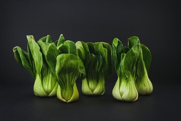 Bunch of organic green Baby Bok Choy or Brassica rapa chinensis on black background. Popular Chinese vegetable for Asian cuisine.Healthy vegetarian and vegan eating. - obrazy, fototapety, plakaty