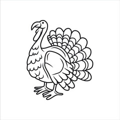 Ostriches bird sketch black and white