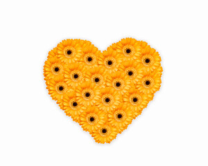 Heart made from yellow Gerbera flowers isolated on white 