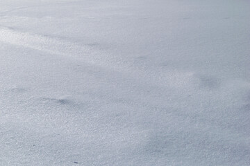 snow on the snow