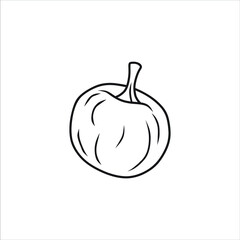 illustration of an apple