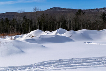 Snowy field with tracks and trees in the background