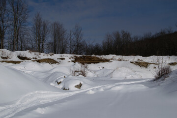 snow covered trees with dirt showing