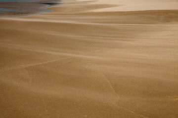 ripples in the sand