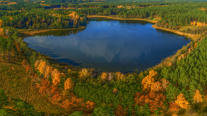 Naklejka na ściany i meble Leśne jezioro na Mazurach w północno-wschodniej Polsce