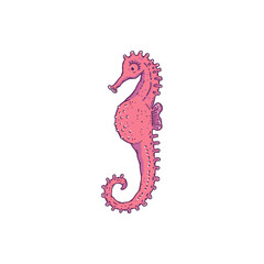 Seahorse pink. Vector wild ocean animal underwater life doodle line isolated illustration.