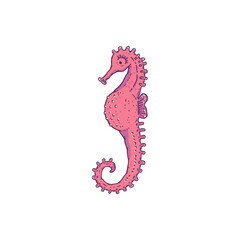 Obraz premium Seahorse pink. Vector wild ocean animal underwater life doodle line isolated illustration.