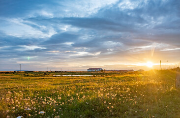 Old farm and meadow in Iceland on sunrise.
