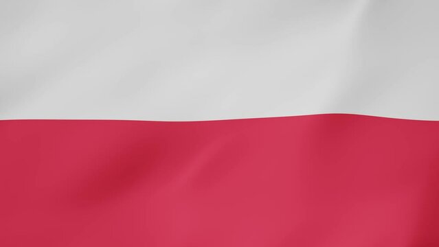 Bandera animada, Polonia. 4K