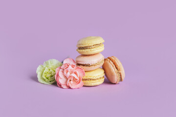 Tasty french macaroons with tender flower on a violet pastel background.