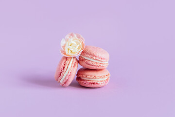 Tasty french macaroons with tender flower on a violet pastel background.