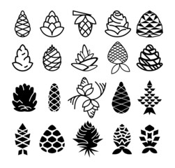 Collection of monochrome cones of conifers. Linear and filled icons.