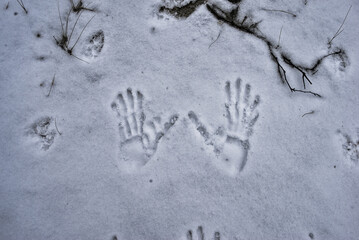 strange handprints in the snow  with long thin fingers