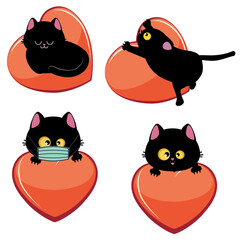 Valentine black cat