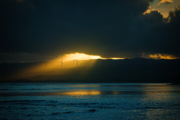 Windmills lit under storm clouds, dramatic light