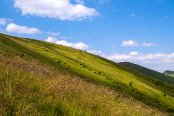 Bright landscape with grassy green meadow and distant mountain hills in summer