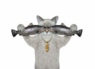 An ashen cat with a gold medallion is holding two fish near his head. White background. Isolated.