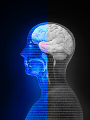 Obraz premium Head. Psychology, bipolar disorder, emotion, duality, ambivalence and personality concept. Flat design. illustration, no transparency, 3d rendering