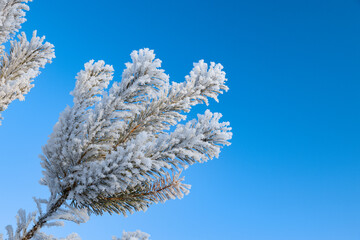 Snowy landscape, winter in Russia