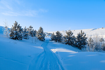 Snowy landscape, winter in Russia