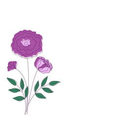 Vector purple peony or rose flowers with outlined silhouette isolated on white background. Design for Logo, business card, flyer.