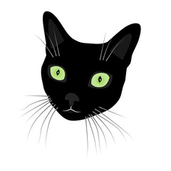 The muzzle of a black cat with green eyes
