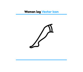 Woman leg vector outline icon illustration. Woman leg icon