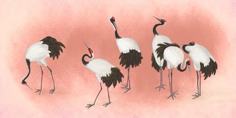 White cranes with pink background. Abstract watercolor paint background grunge texture. Interior Wallpaper. Mural for the walls, fresco for the room, interior grunge style