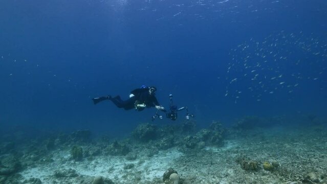 Professional diver / underwater cinematographer filming in coral reef of Caribbean Sea around Curacao