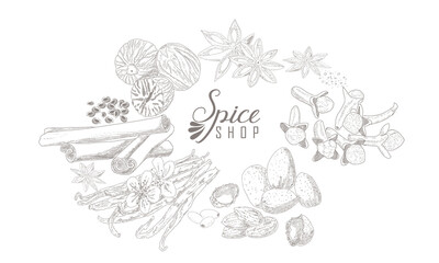 A set of spices - cinnamon, star anise, cloves, nutmeg, vanilla and almond. Spice shop in vintage engraving style