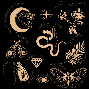 Collection of witches and magic in boho style with magical ritual symbols, gold on a black background