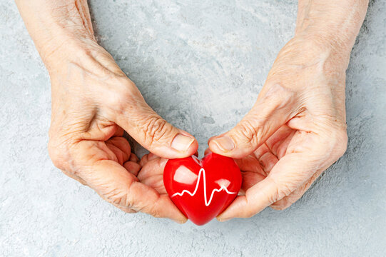 Taking Care For The Elderly Concept With A Wrinkled Hands Holding Red Heart Symbol With Cardiogram Line.