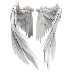 Pair of isolated white angel style wings with 3D feathers on white background, 3D Illustration, 3D Rendering