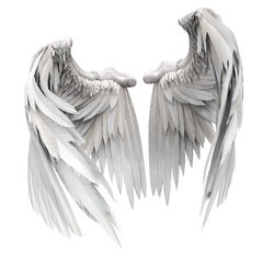 Pair of isolated white angel style wings with 3D feathers on white background, 3D Illustration, 3D Rendering