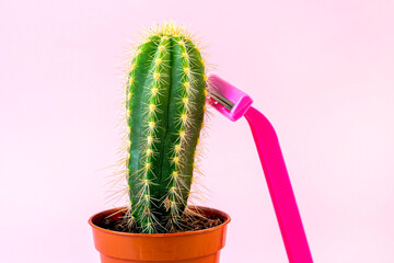 Green prickly cactus with pink disposable woman razor on light pastel background. Hair removing, epilation procedure and shaving concept.