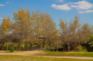 Rustic autumn landscape blue sky white clouds
