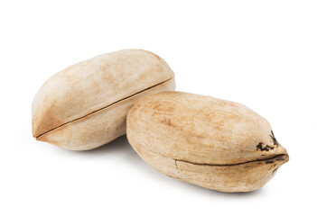 Isolated nuts. Ripe pecan isolated on white background.