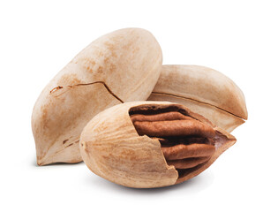 Isolated nuts. Ripe pecan isolated on white background.