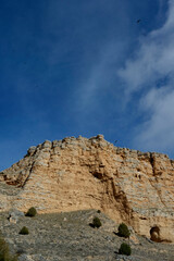 Fototapeta premium The natural park of Hoces del Río Riaza is located in the northeast of the province of Segovia. Spain's griffon vulture reserve and Natura 2000 network.