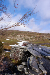 Route through the Natural Park Hayedo de Tejera Negra by the river and oaks in winter. Natura 2000. Spain