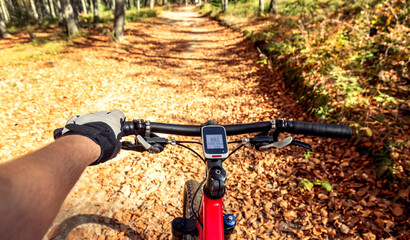 Fototapeta na wymiar Millennial athlete rides a mountain bike in the woods. Forest road and golden autumn.