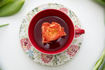 teacup with tulip 