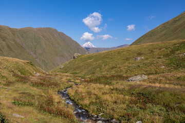 Fototapeta na wymiar A river embedded in an alpine meadow with a distant panoramic view on the sharp mountain peaks of the Ushba massif in the Greater Caucasus Mountain Range in Georgia,Kazbegi Region.Mountain Ridges.