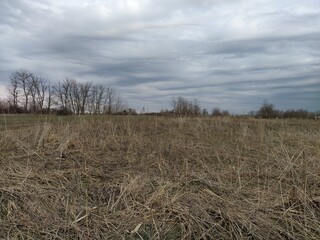 Winter field with dry grass and cloudy sky