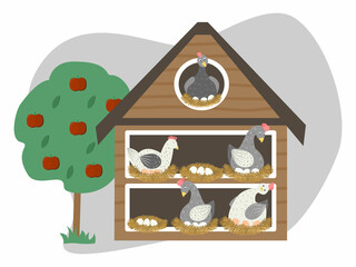 Chicken coop vector illustration. Hens incubate eggs in nests in henhouse. Farming and rearing poultry © Amarievikka