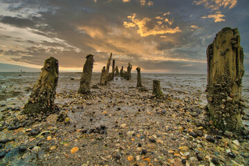sunset on the beach