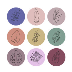 Leaves of tropical plants in a hand-drawn style. Set of icons for highlights, templates for blog and social media